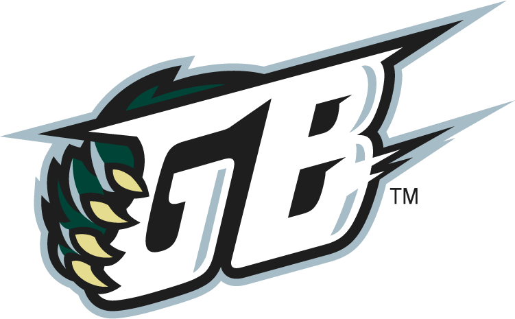 Green Bay Blizzard 2010-2014 Alternate Logo v2 t shirt iron on transfers